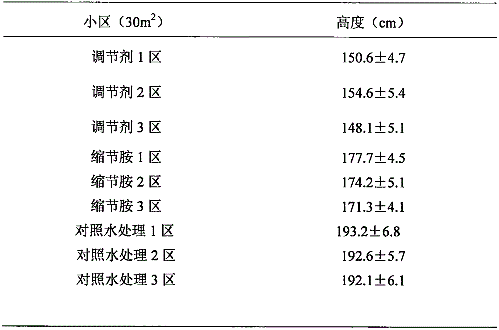 Height-controlling composite growth regulating agent for corn