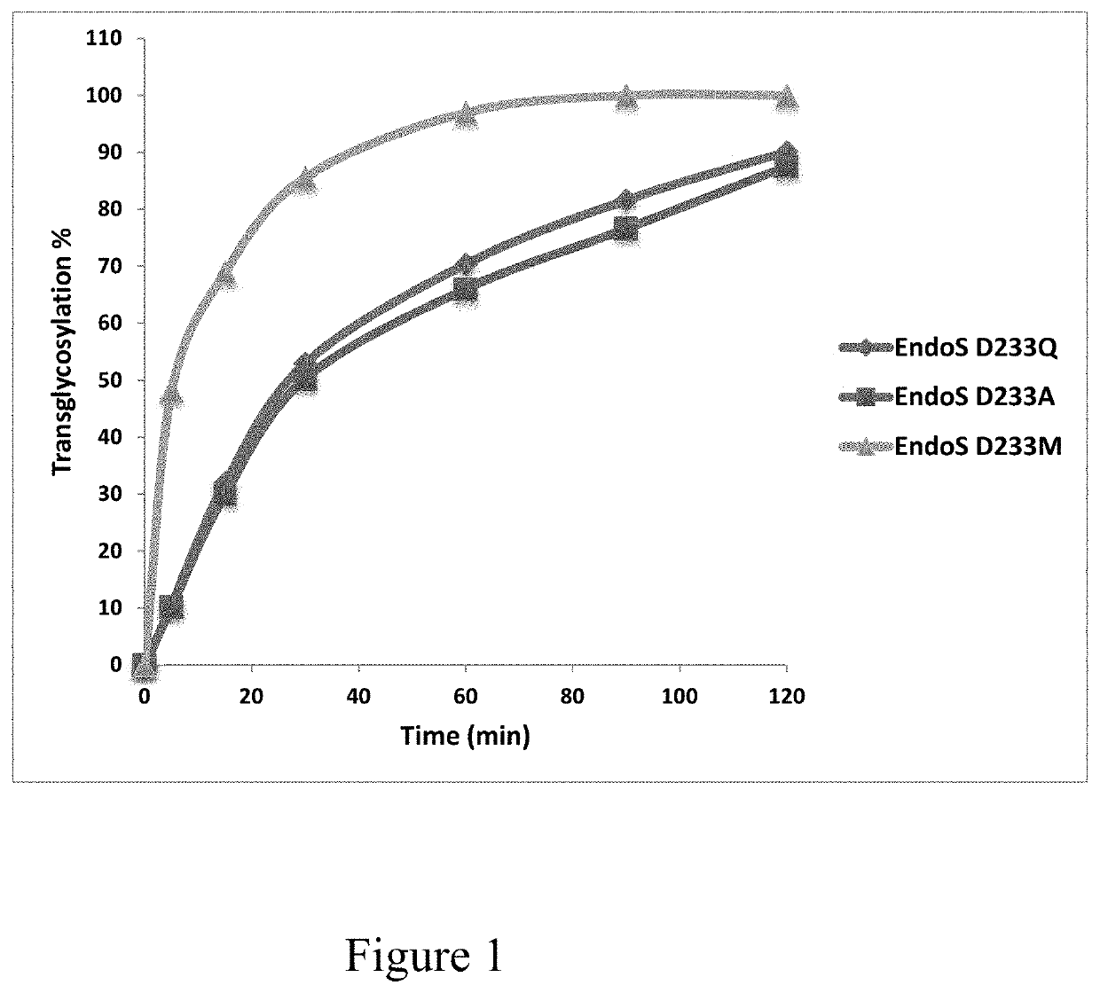 Generation and comparative kinetic analysis of new glycosynthase mutants from <i>Streptococcus pyogenes </i>endoglycosidases for antibody glycoengineering