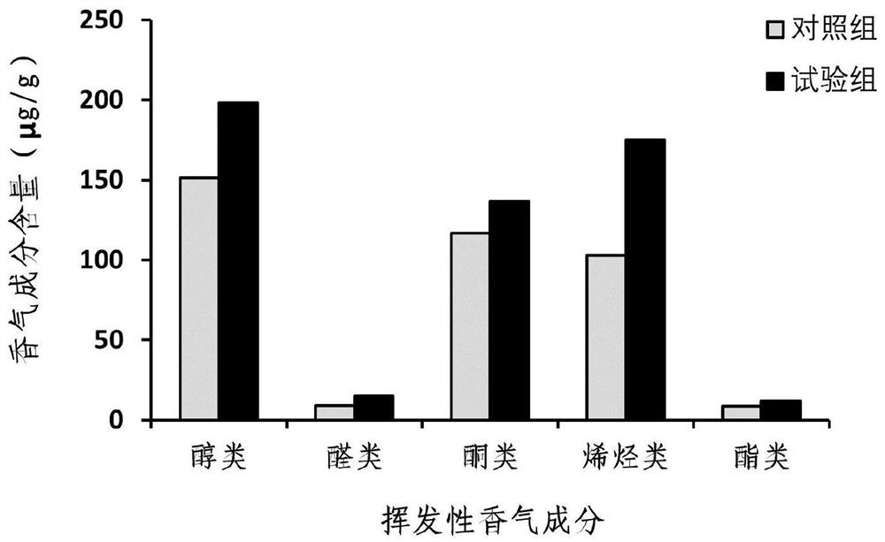 Fermentation method for removing peculiar smell of tobacco leaves of sun-cured tobacco and application of tobacco leaves in heated cigarettes