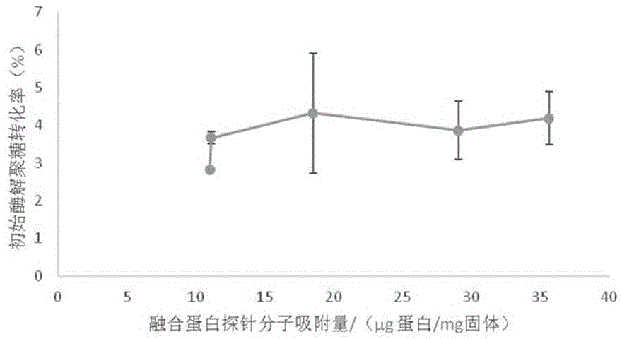 Fusion protein for cellulose accessibility measurement and application thereof