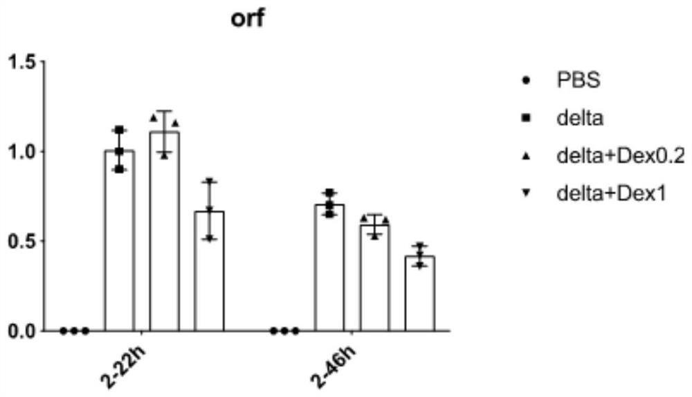 Application of glucocorticoid in preparation of medicine for treating and/or preventing respiratory virus infection