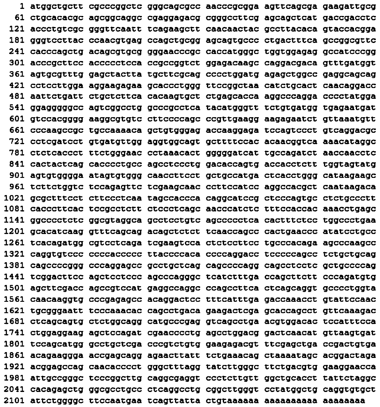 Plasmid for efficiently expressing porcine CRTC3, and construction method of adenovirus and application