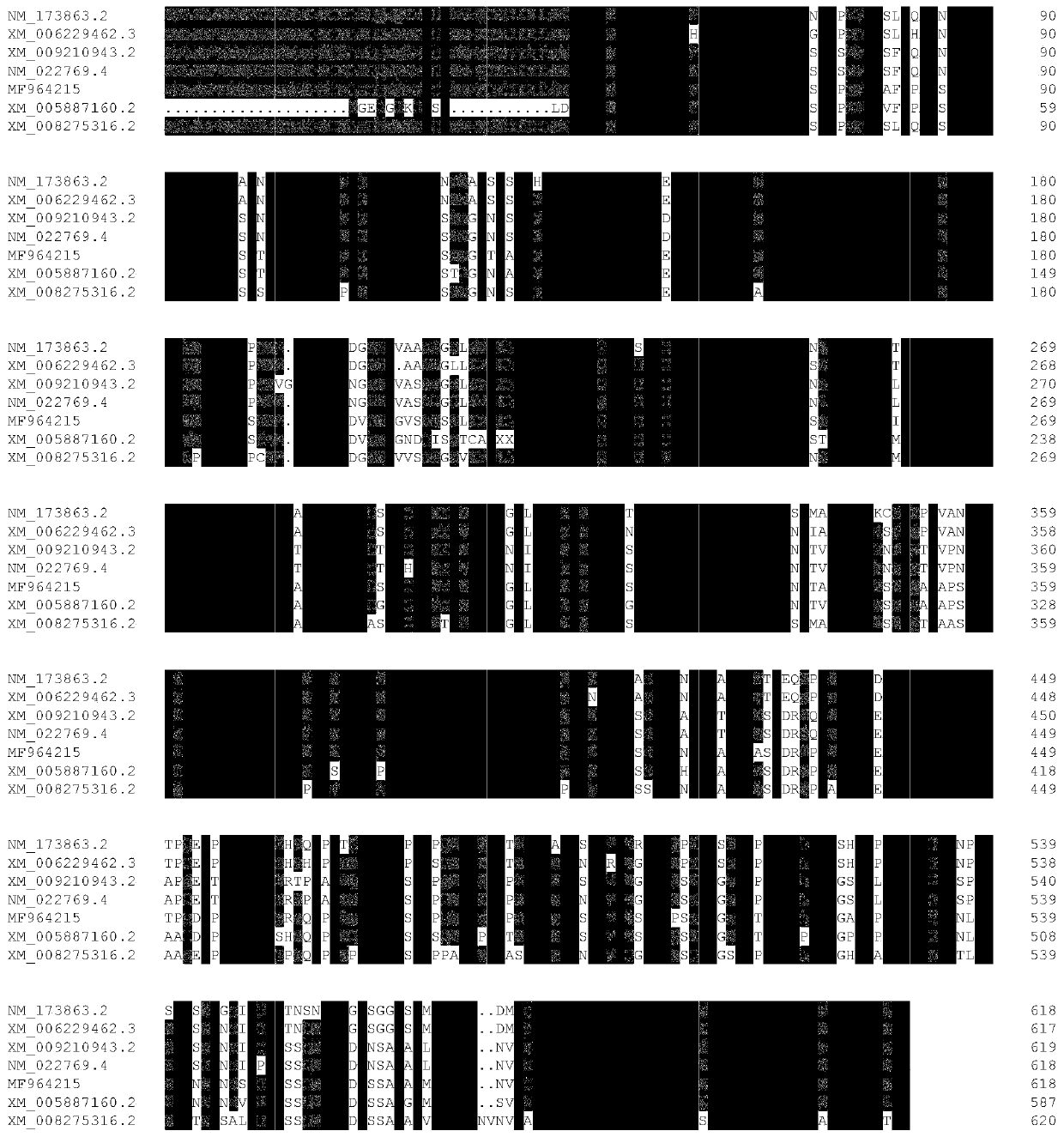 Plasmid for efficiently expressing porcine CRTC3, and construction method of adenovirus and application