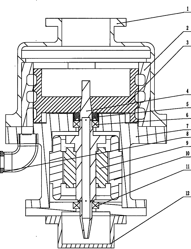 Dry vacuum pump