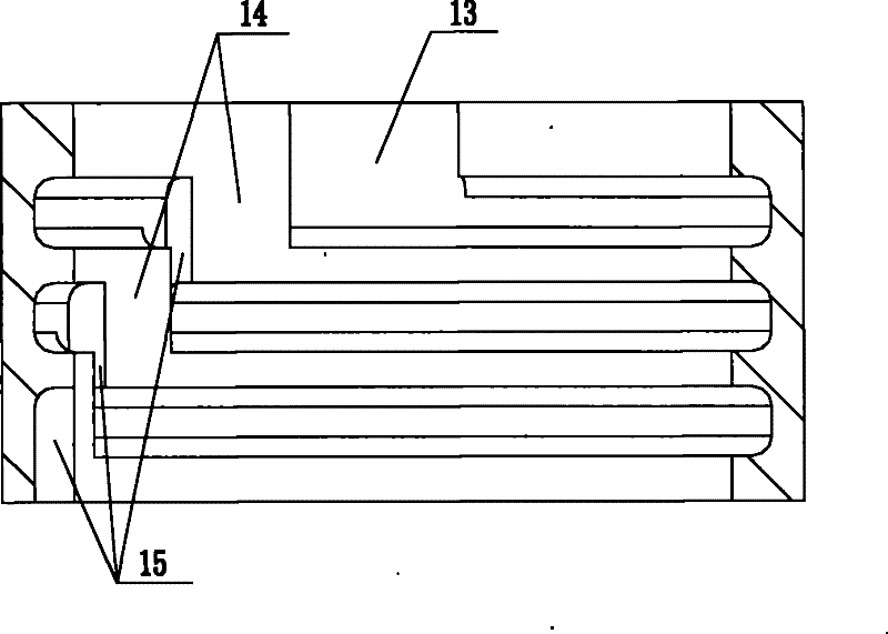 Dry vacuum pump