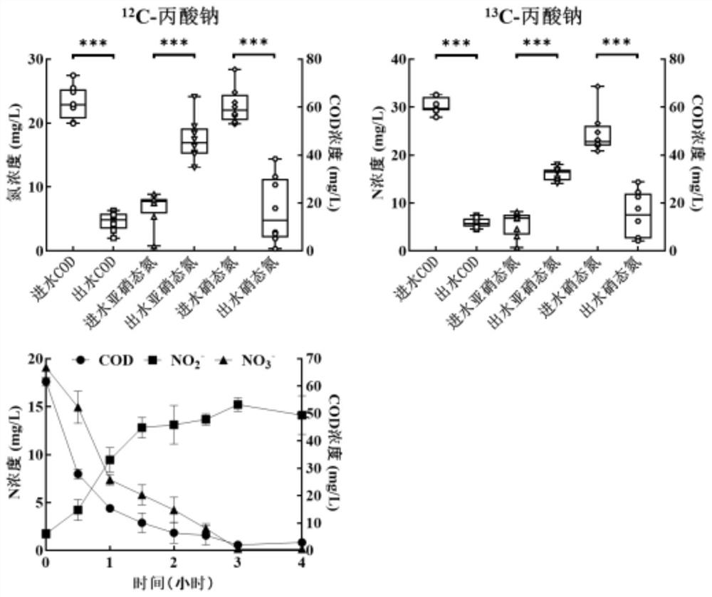 Method for simultaneously identifying short-cut denitrifying bacteria and triclosan degrading bacteria based on DNA stable isotope nucleic acid probe technology