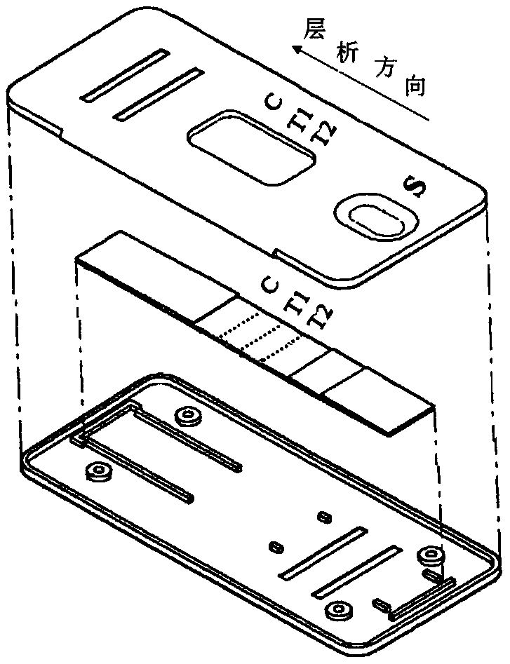 Double rapid test strip for detecting and identifying type O and A foot and mouth disease viruses and preparation method thereof