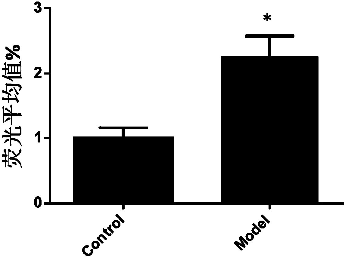 Purpose of 3,4-dihydroxy phenyl substituted phenol for preparing an ALDH2 activating agent and medicine for preventing and treating cardio-cerebral ischemia injury