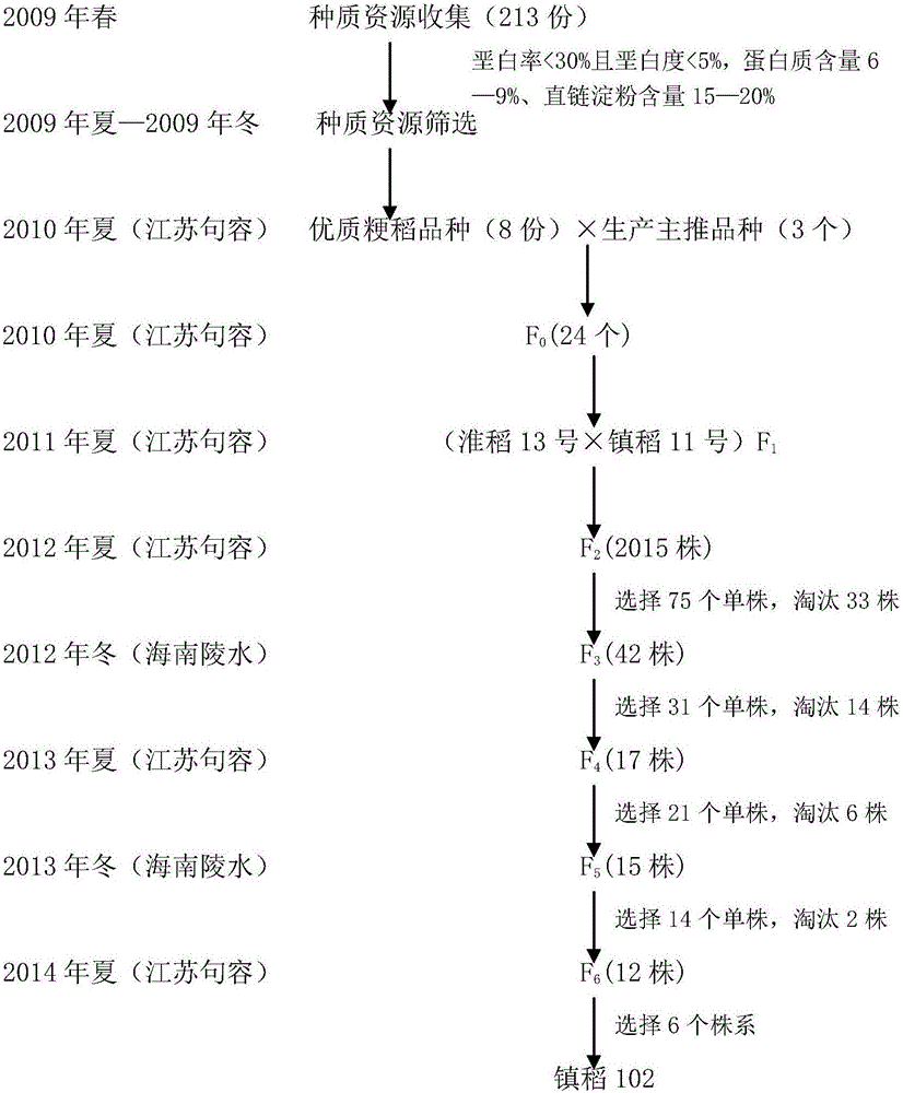 Cultivation method for high-yield japonica rice variety with good taste