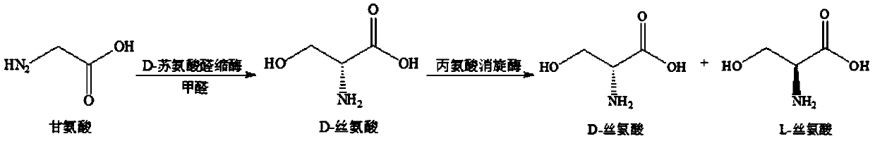 Method for preparing DL-serine by one-pot enzyme method