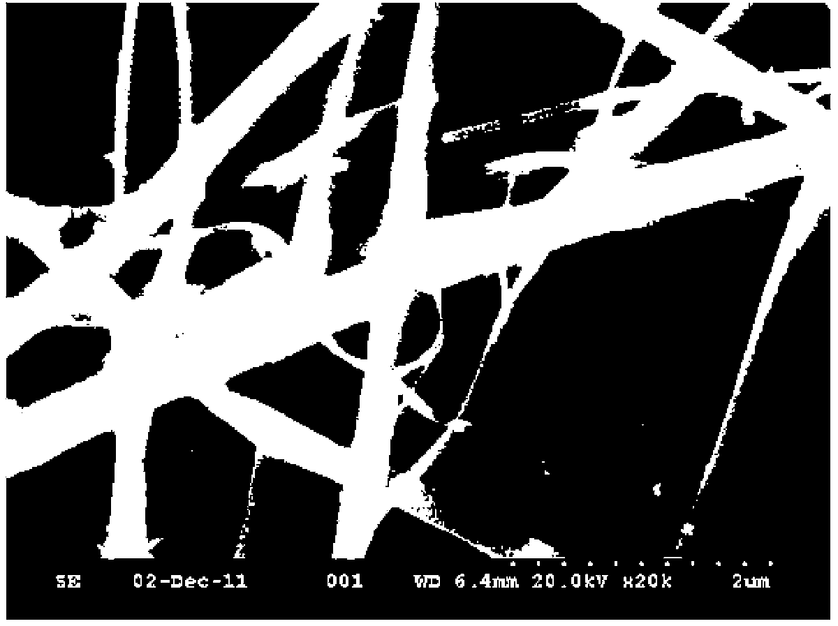 Preparation method of high-specific-surface porous TiO2 nano-fiber