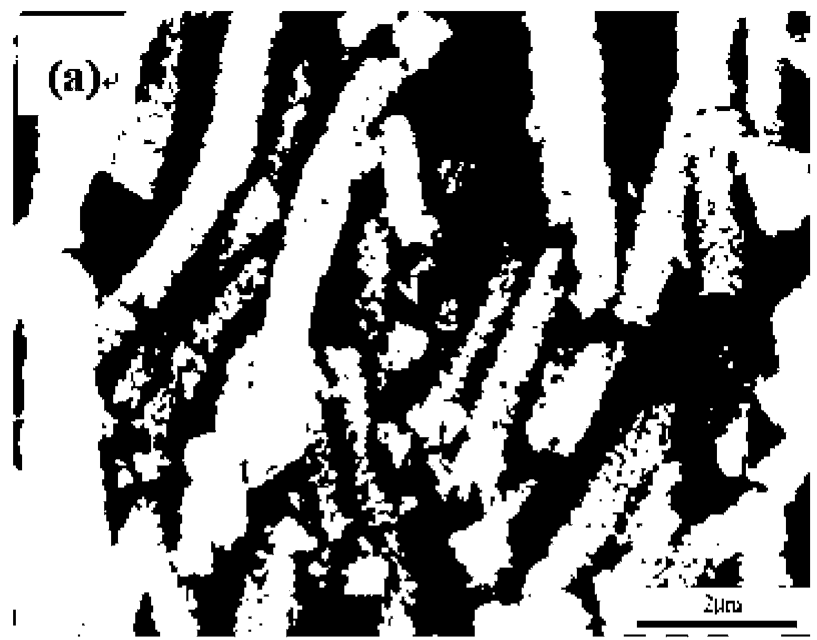 Preparation method of high-specific-surface porous TiO2 nano-fiber