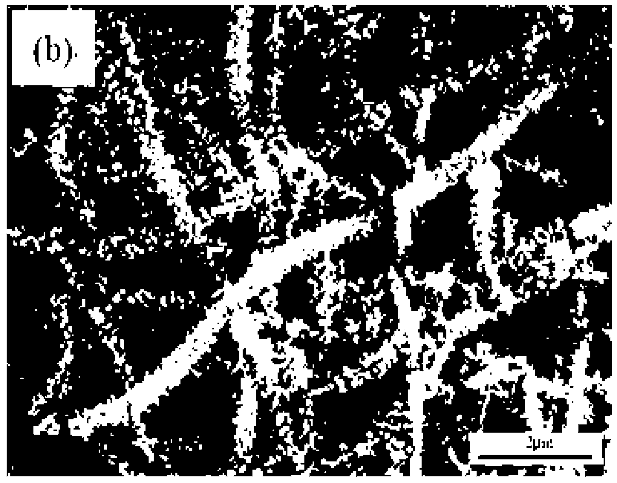 Preparation method of high-specific-surface porous TiO2 nano-fiber