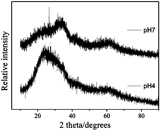 Preparation method and application of functionalized nanometer ferrihydrite