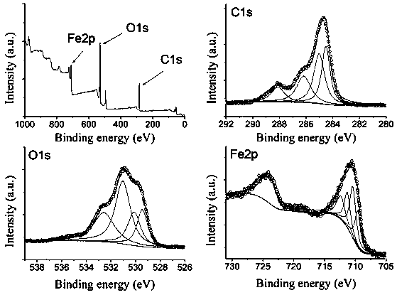 Preparation method and application of functionalized nanometer ferrihydrite