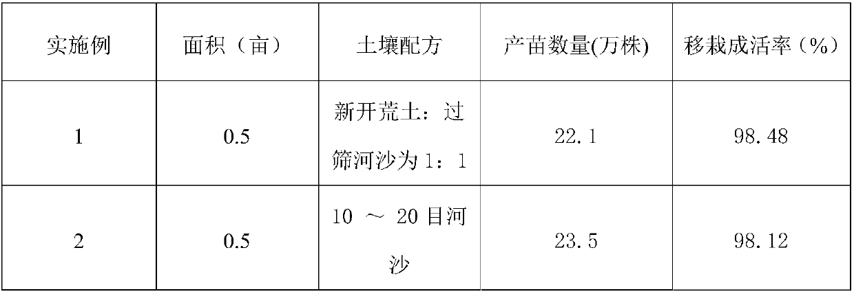 Large-scale seedling growing method using Liparis nervosa seeds