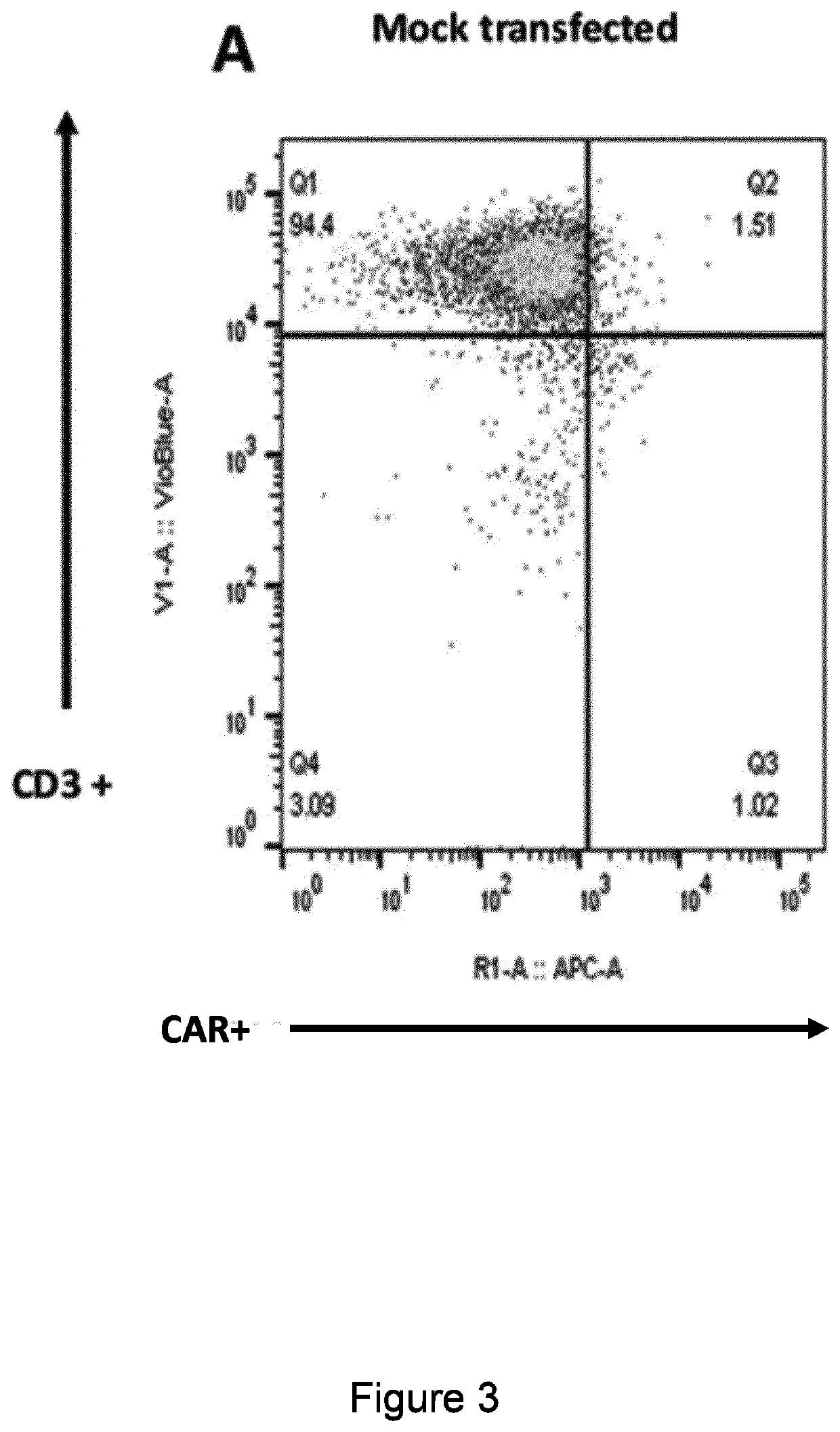 Targeted gene integration of nk inhibitors genes for improved immune cells therapy