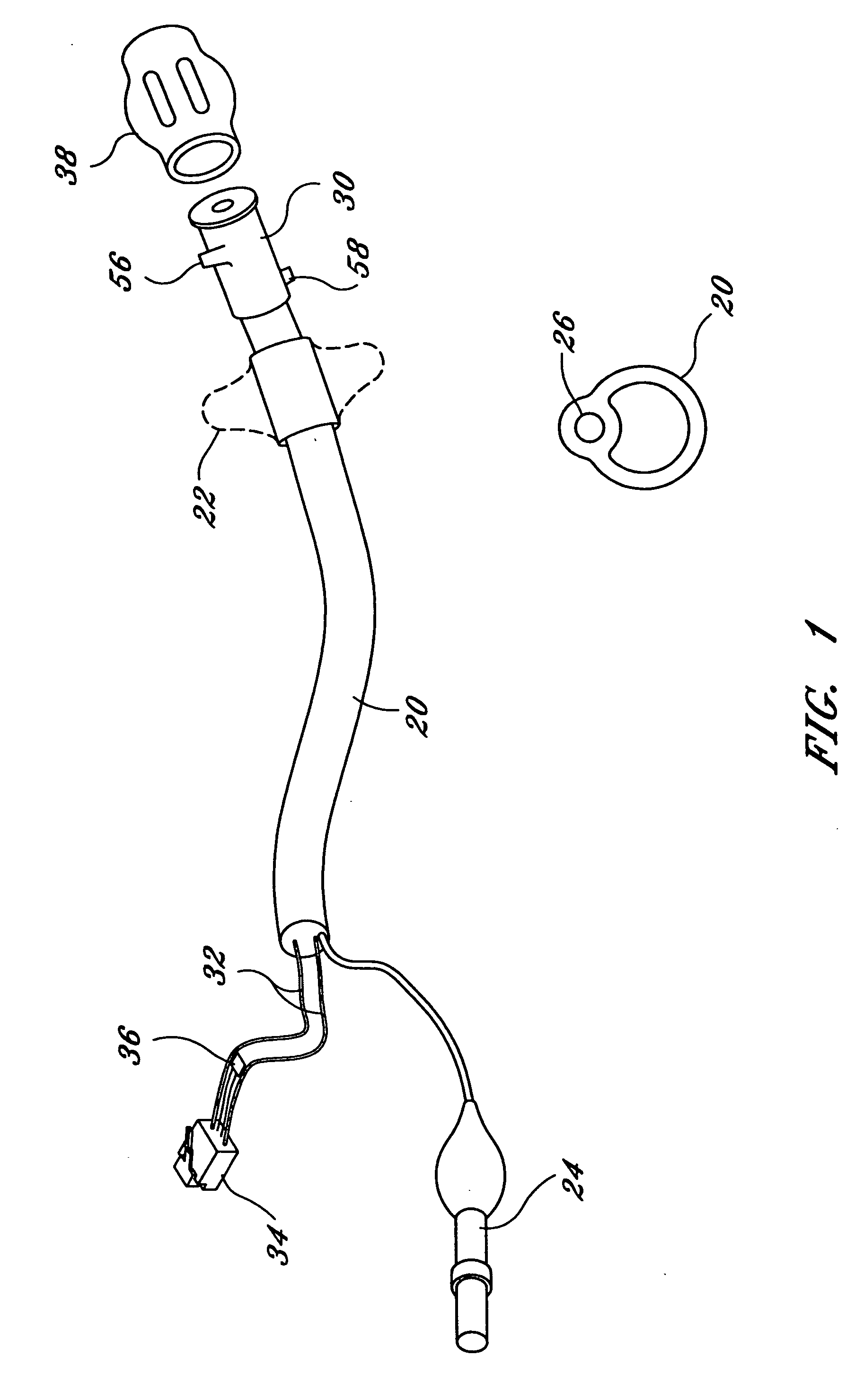 Fecal incontinence management device