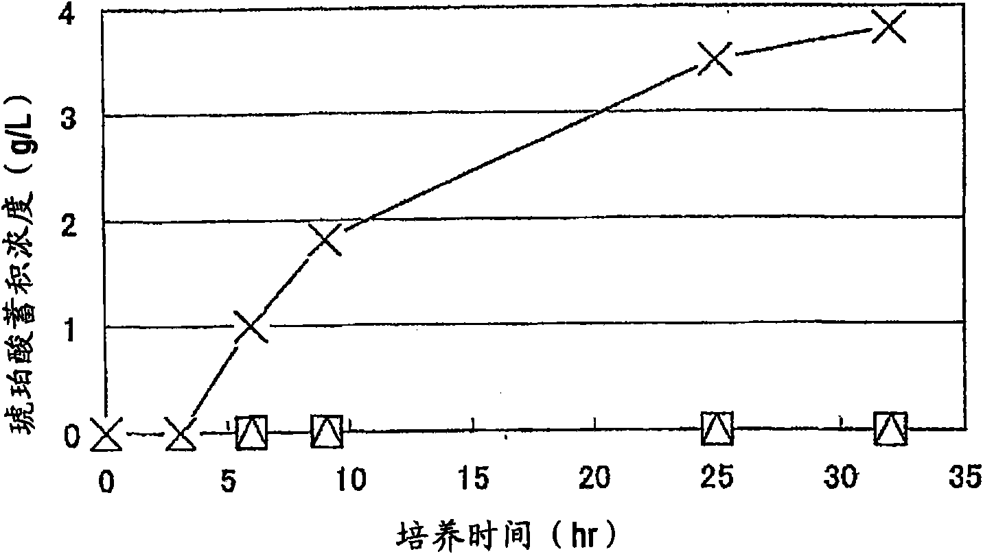 Biocatalyst for production of d-lactic acid