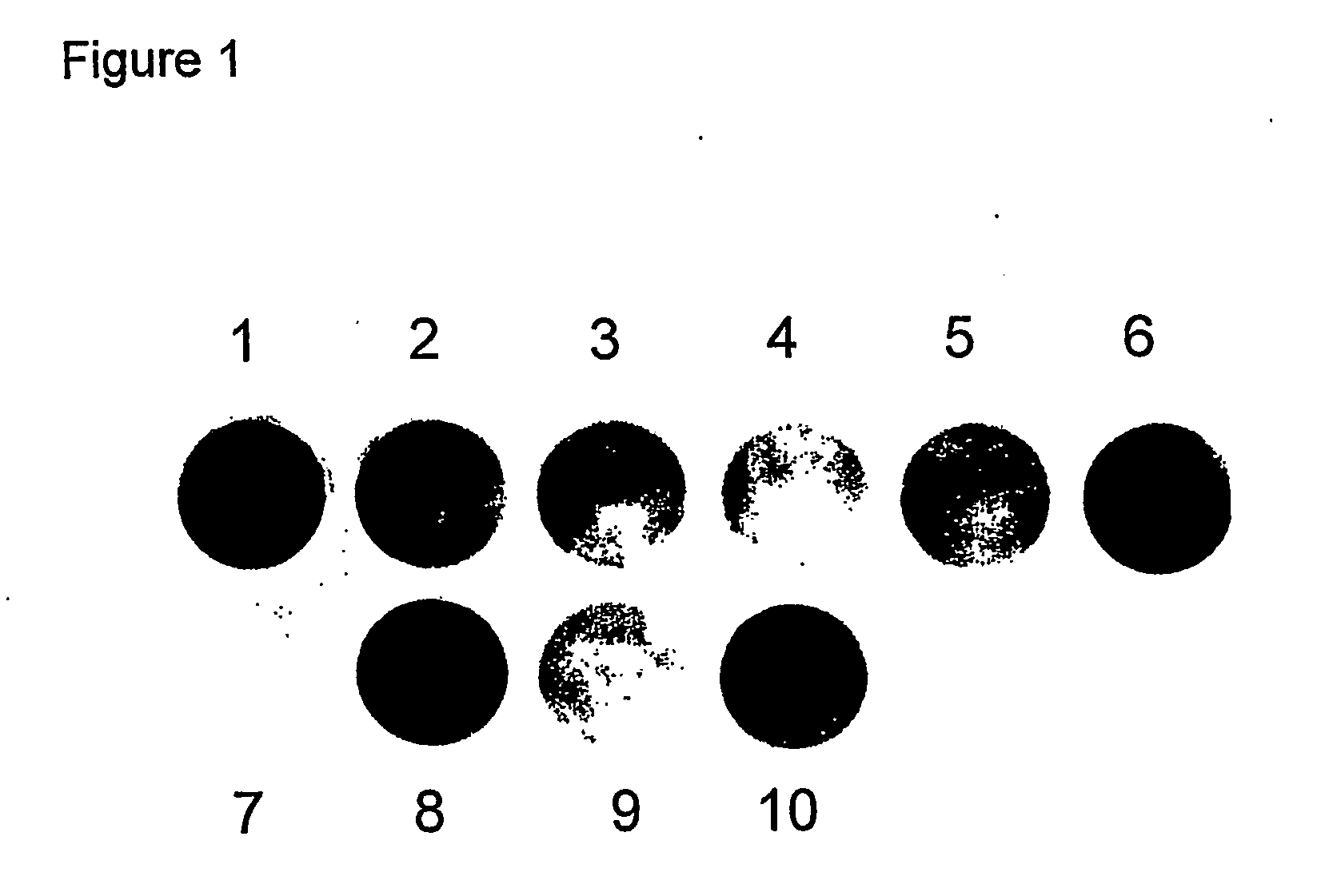 Follicular fluid for prolonged growth and survival of cells for cell therapies