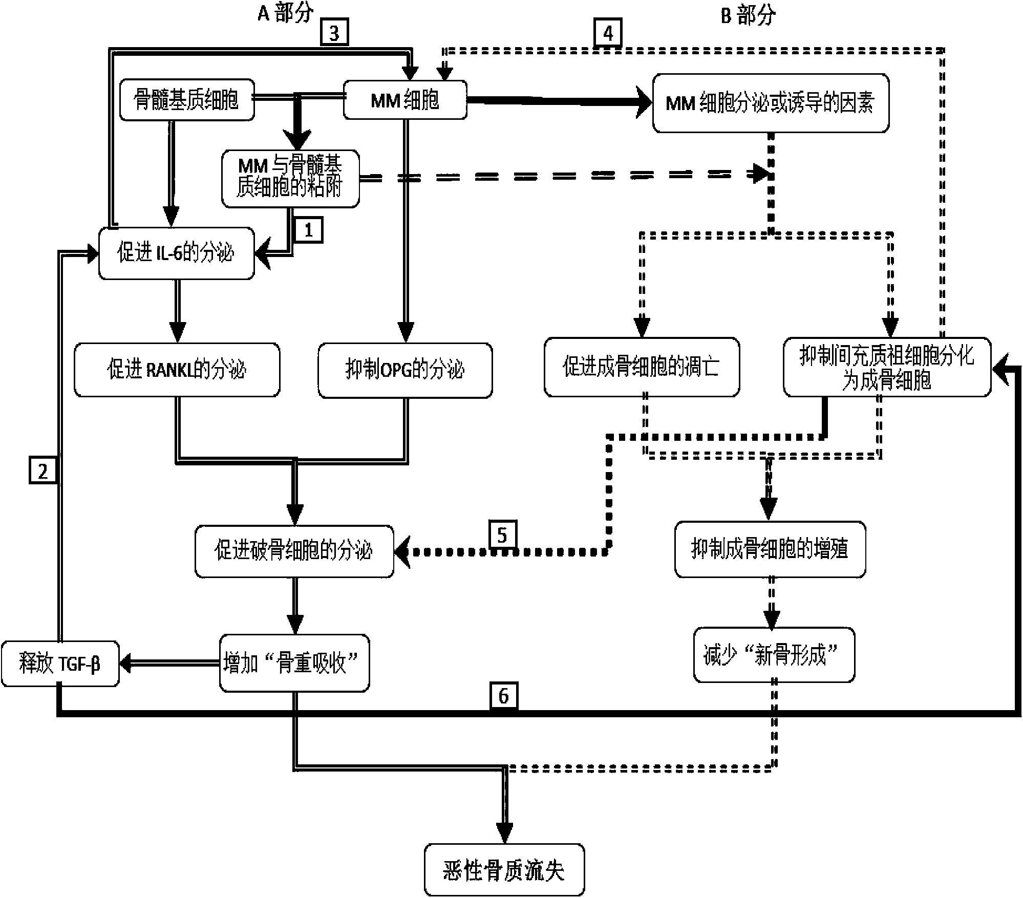 Method for performing simulated evaluation on curative effect of multiple myeloma bone disease therapeutic method