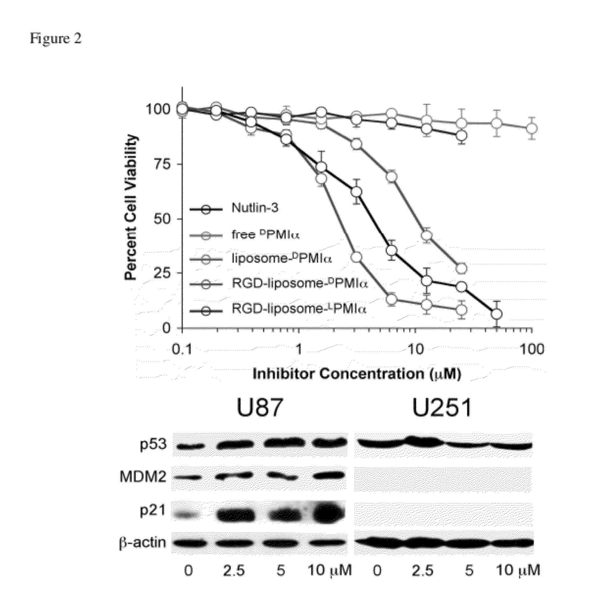 Potent d-peptide antagonists of mdm2 and mdmx for anticancer therapy