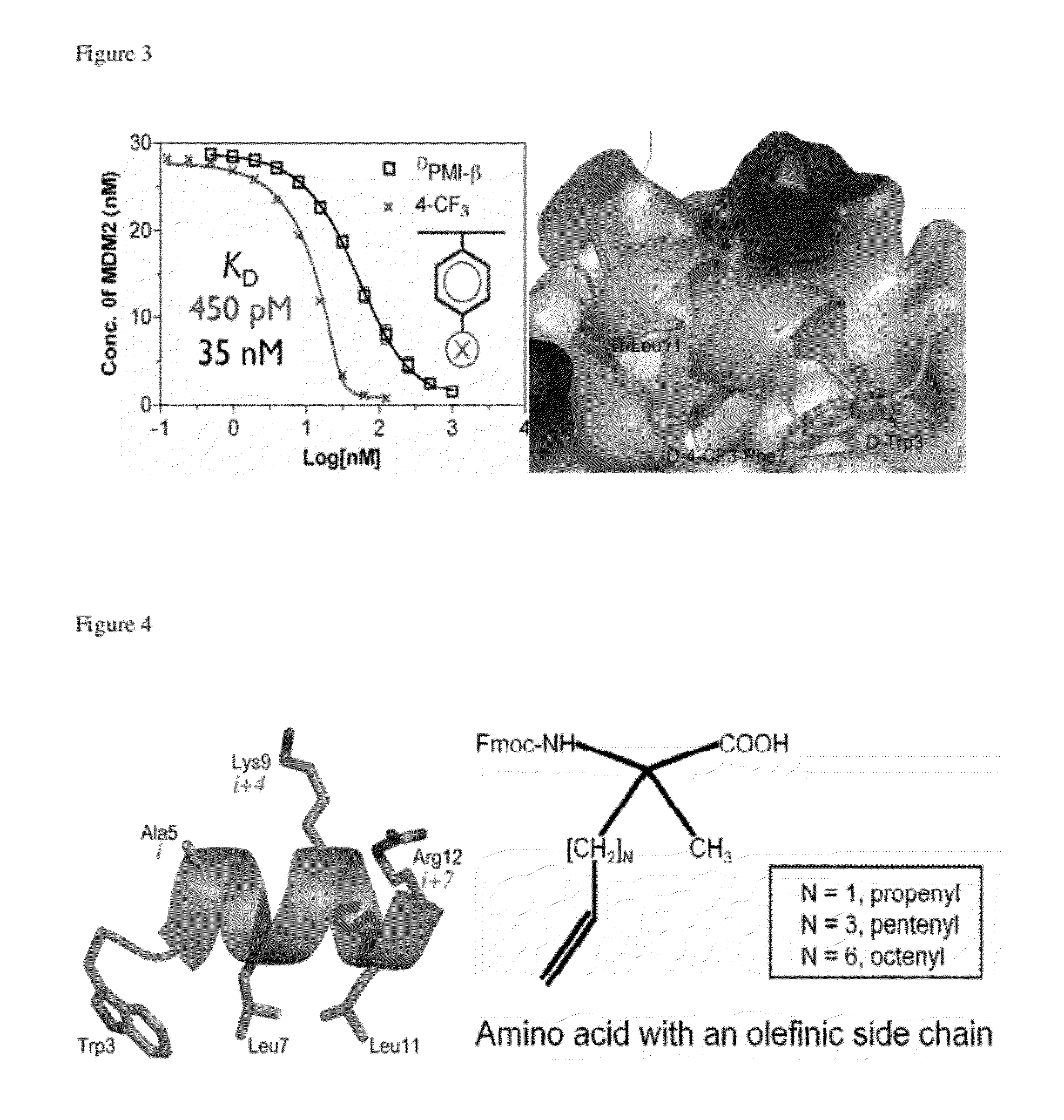 Potent d-peptide antagonists of mdm2 and mdmx for anticancer therapy