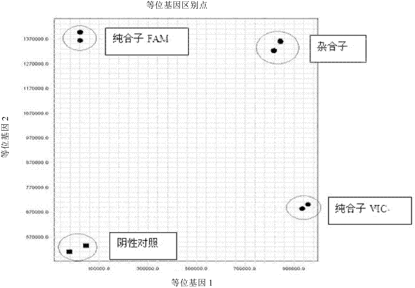 Fluorescent polymerase chain reaction (PCR) kit for detecting CYP2C19 genotypes