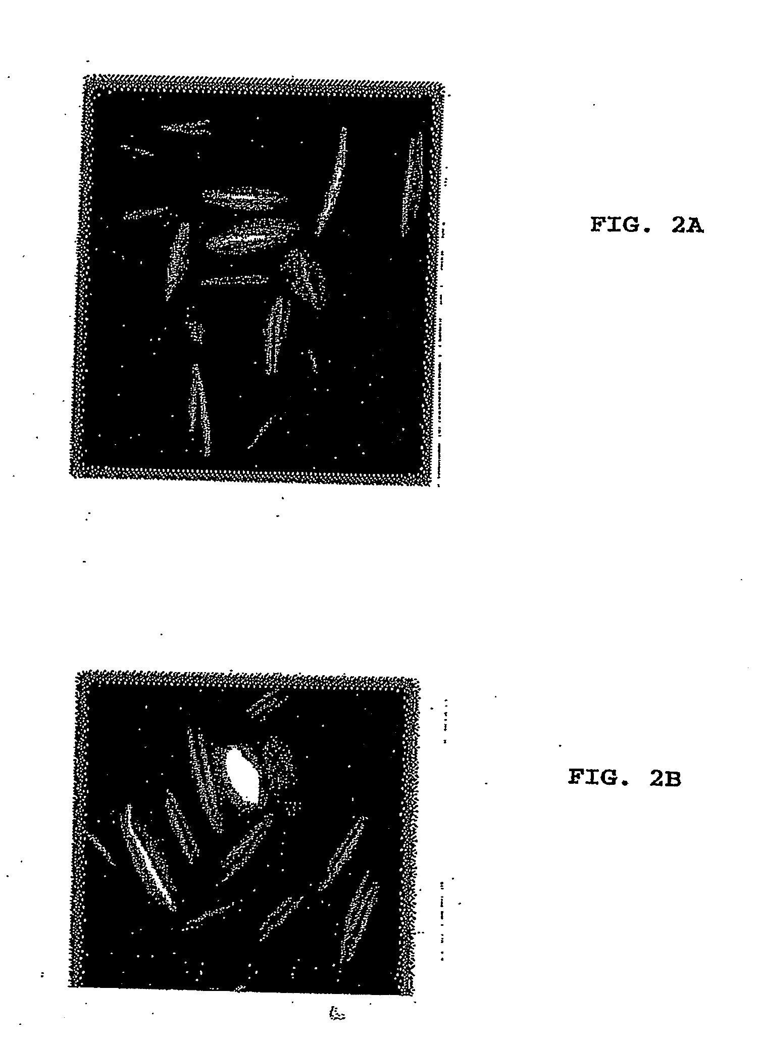 Method of Screening Antibacterial Drug Compounds