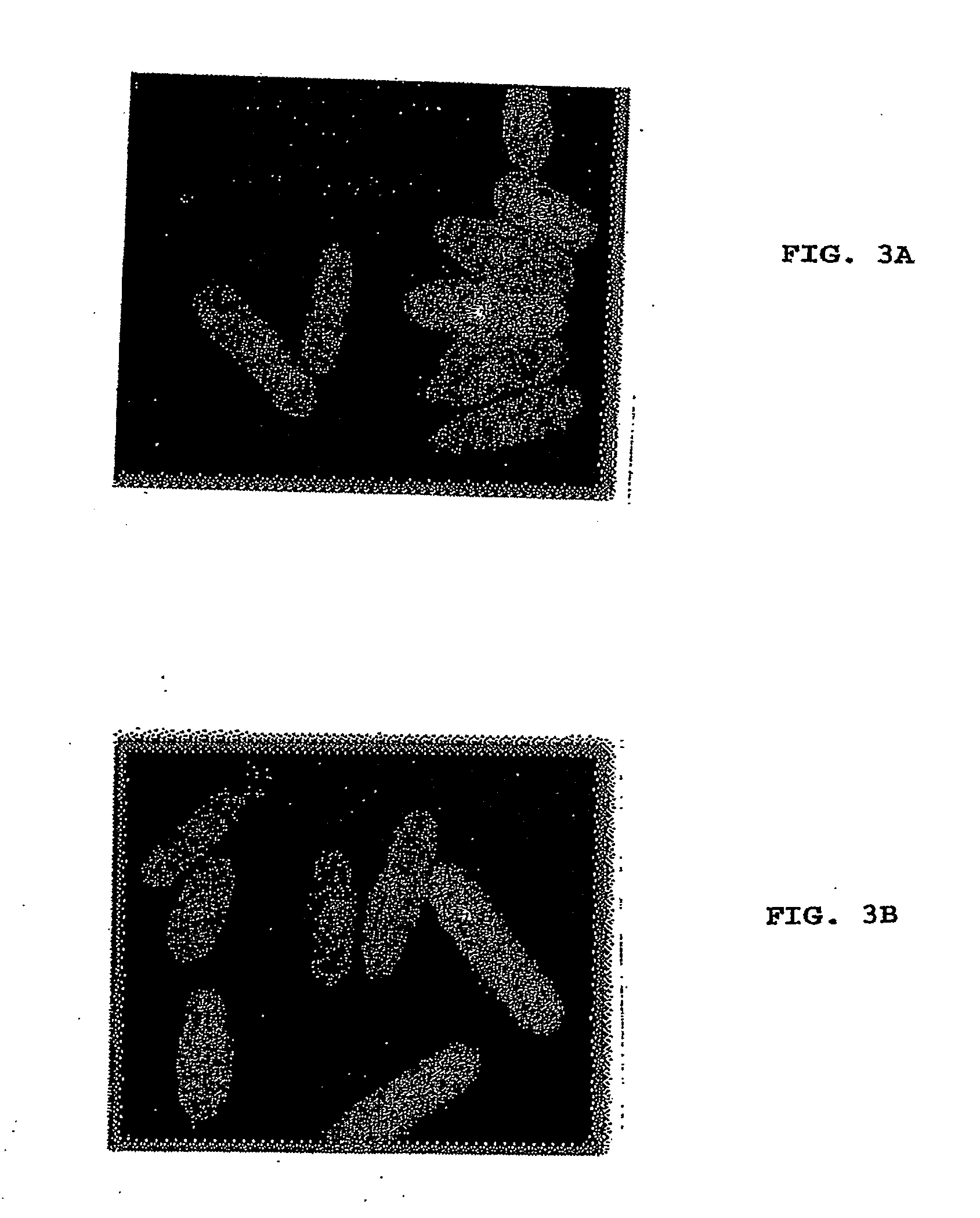 Method of Screening Antibacterial Drug Compounds