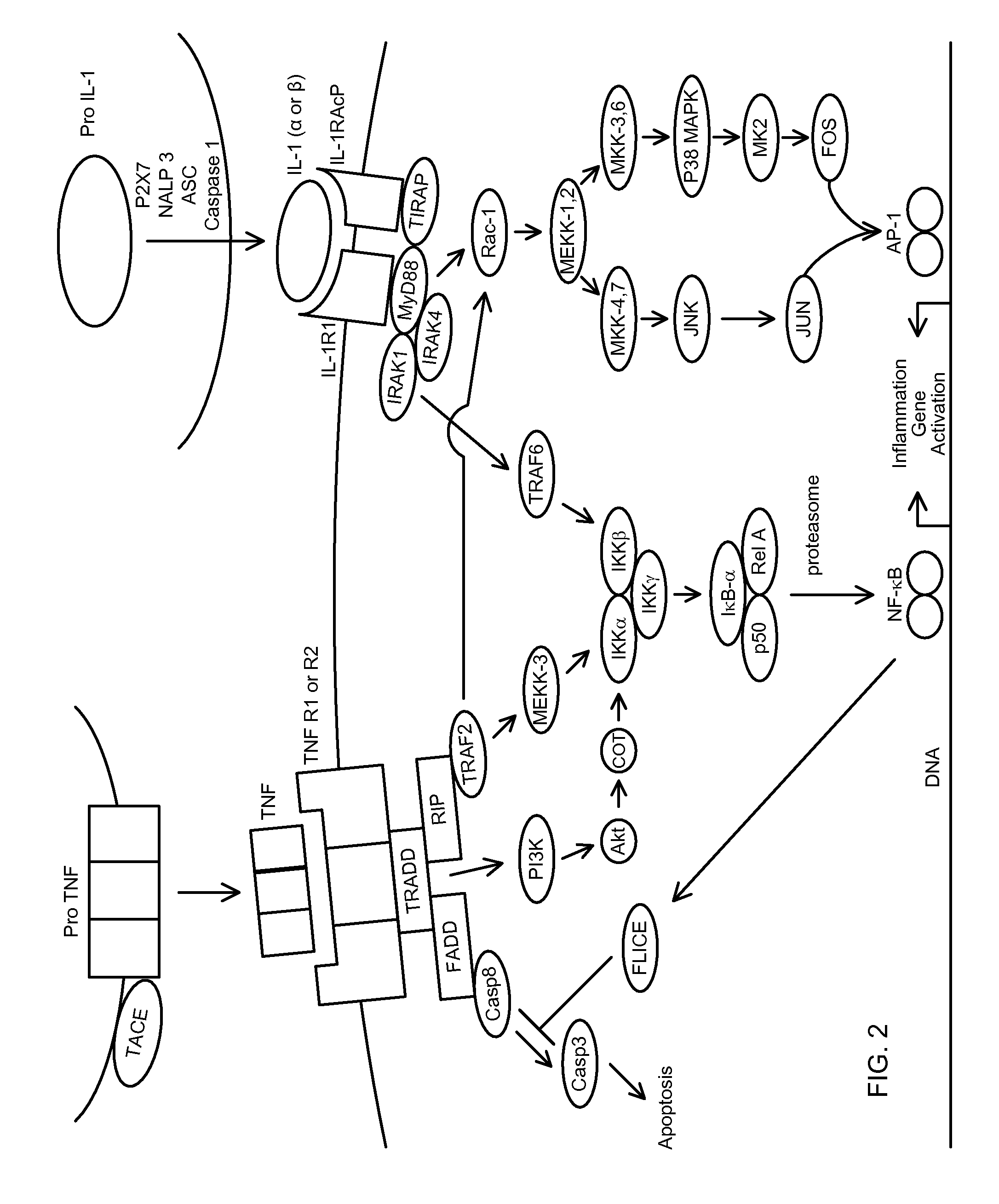 Novel regimens for treating diseases and disorders