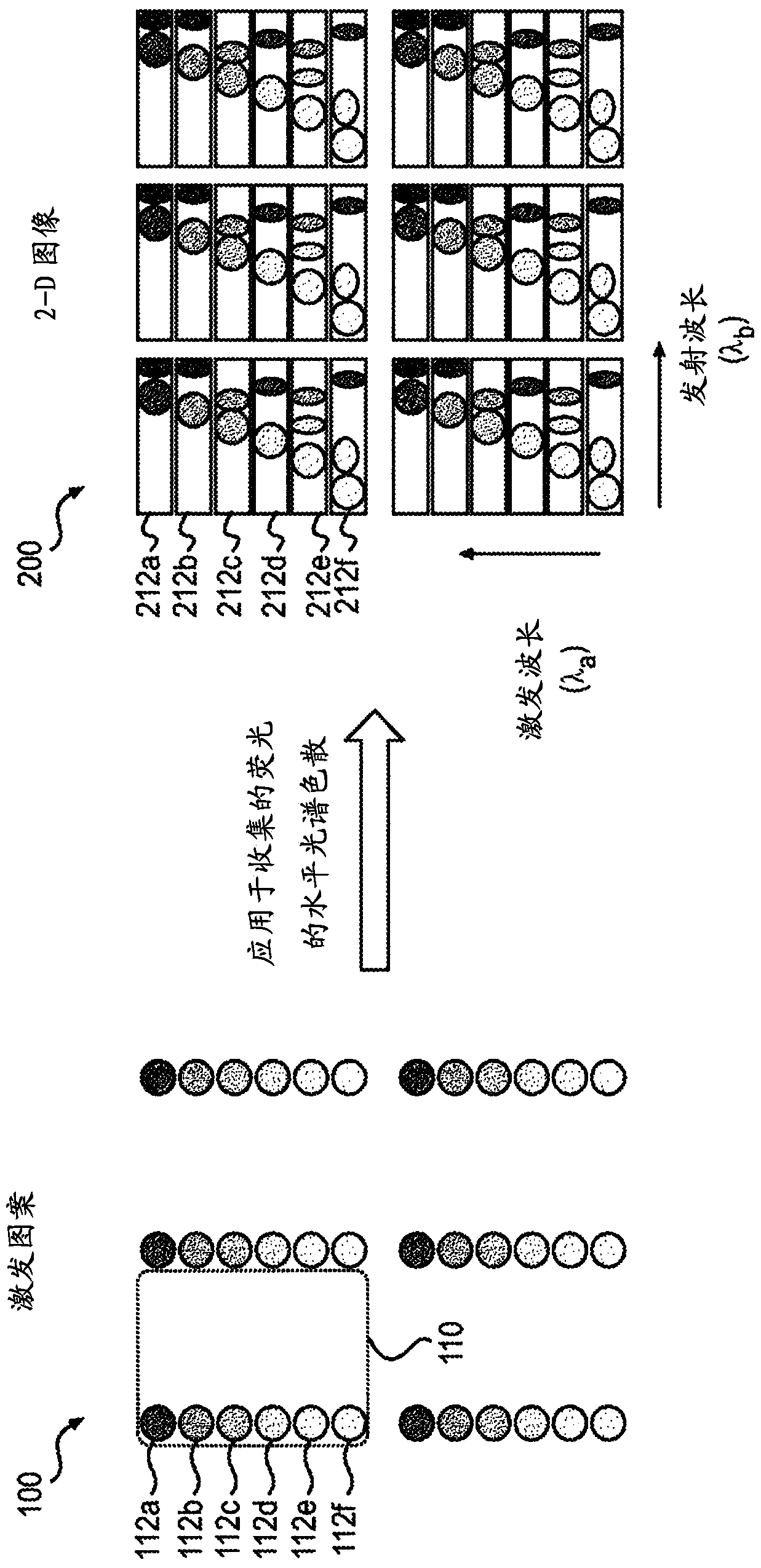 Systems and methods for 4-d hyperspectrial imaging