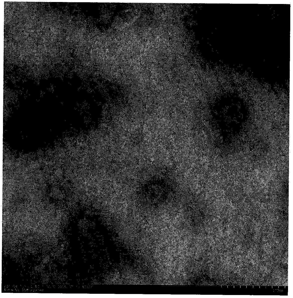 Method for producing rabies vaccine