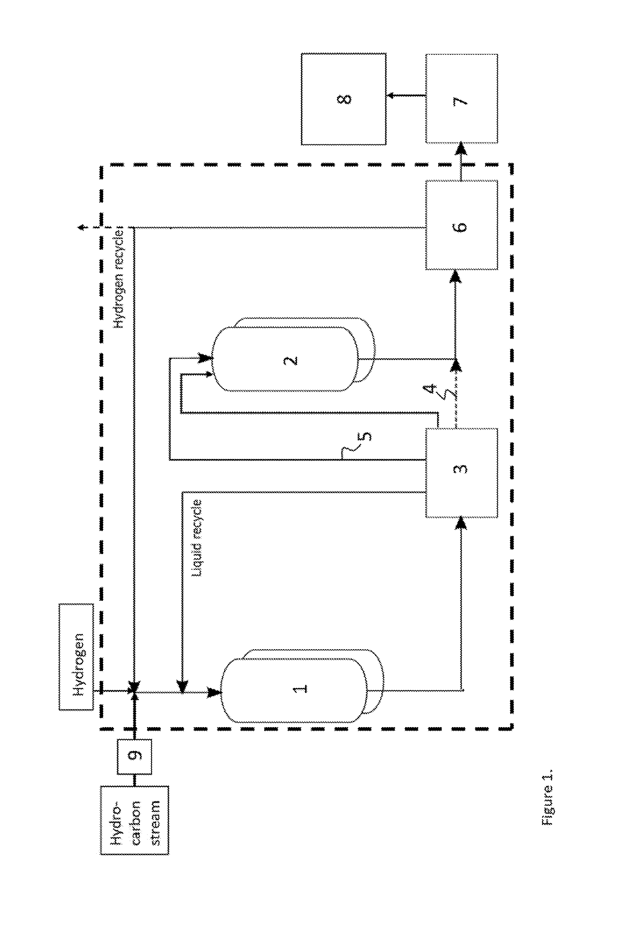 Process and apparatus for hydrogenation