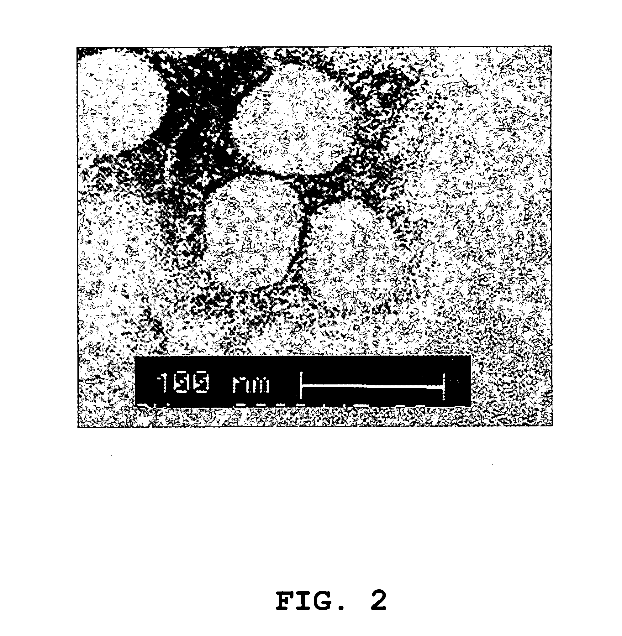 High-throughput diagnostic assay for the human virus causing severe acute respiratory syndrome (SARS)