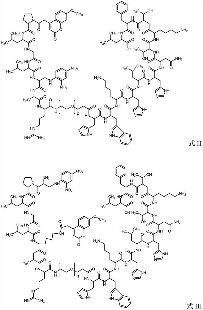 High specificity mmp-14 substrate peptide and its preparation method and application