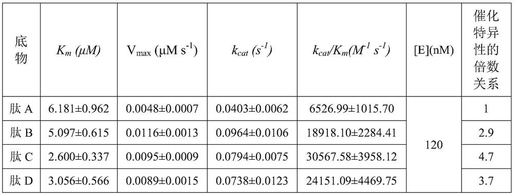 High specificity mmp-14 substrate peptide and its preparation method and application