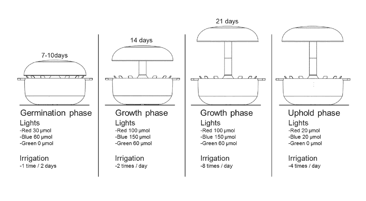 Hydroponic indoor gardening method