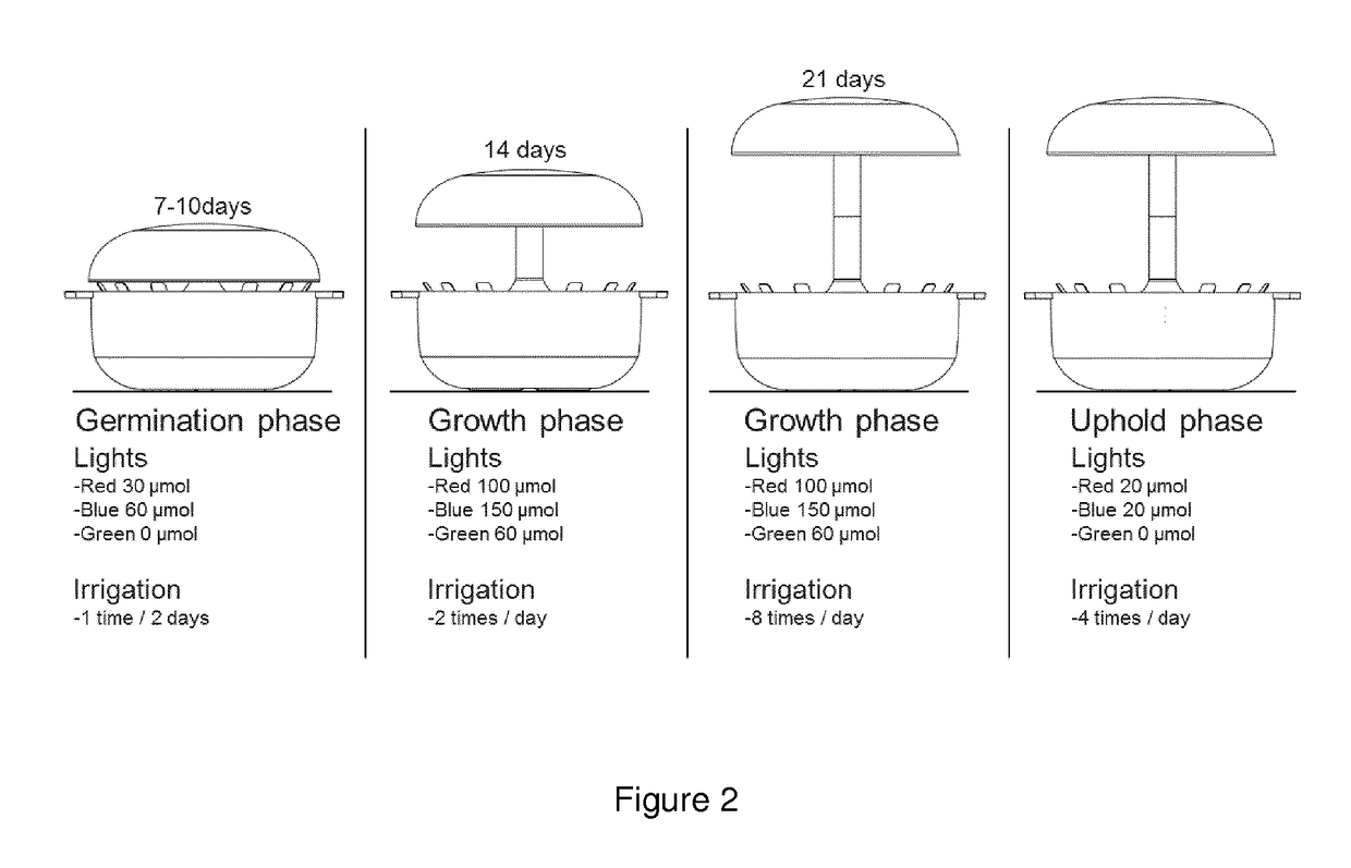 Hydroponic indoor gardening method