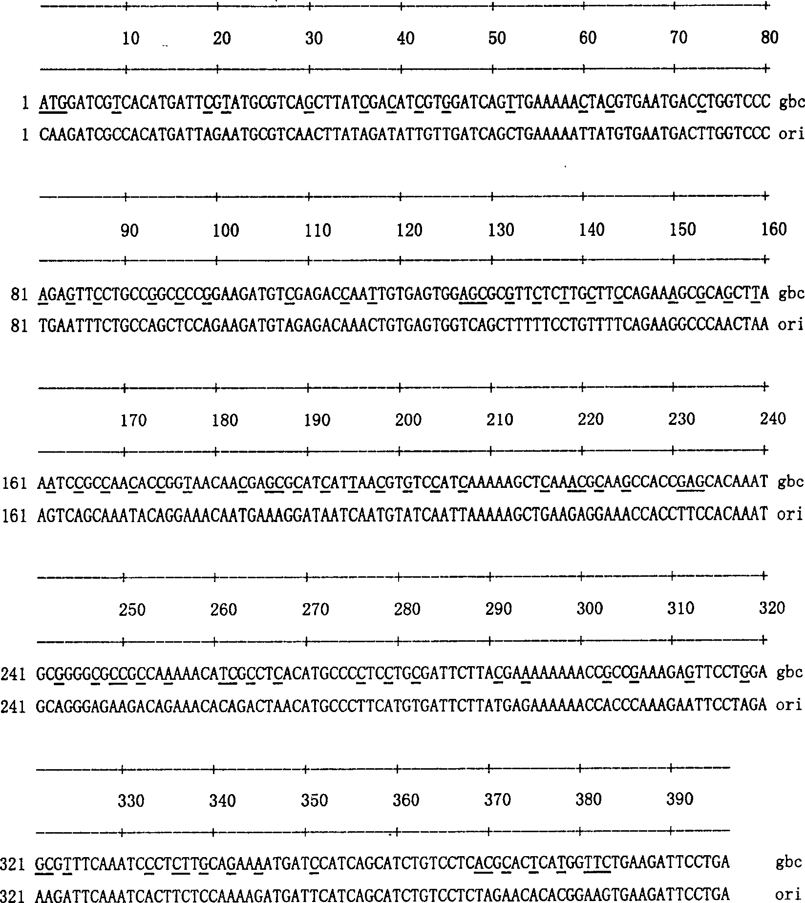 Nucleotid sequence of human interleukin 21 and method and application of producing matured human interleukin 21