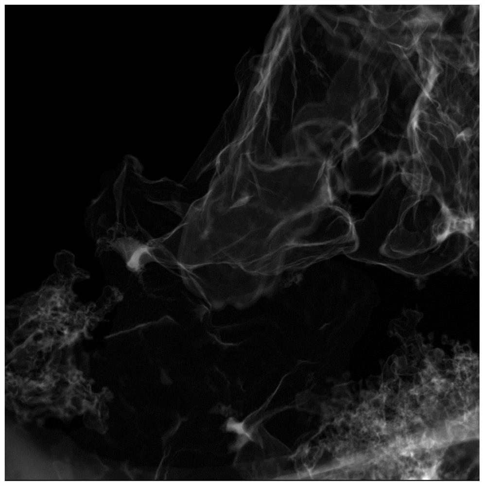 Nitrogen-doped layered carbon catalyst for catalyzing the oxidation of ethylbenzene and its preparation method