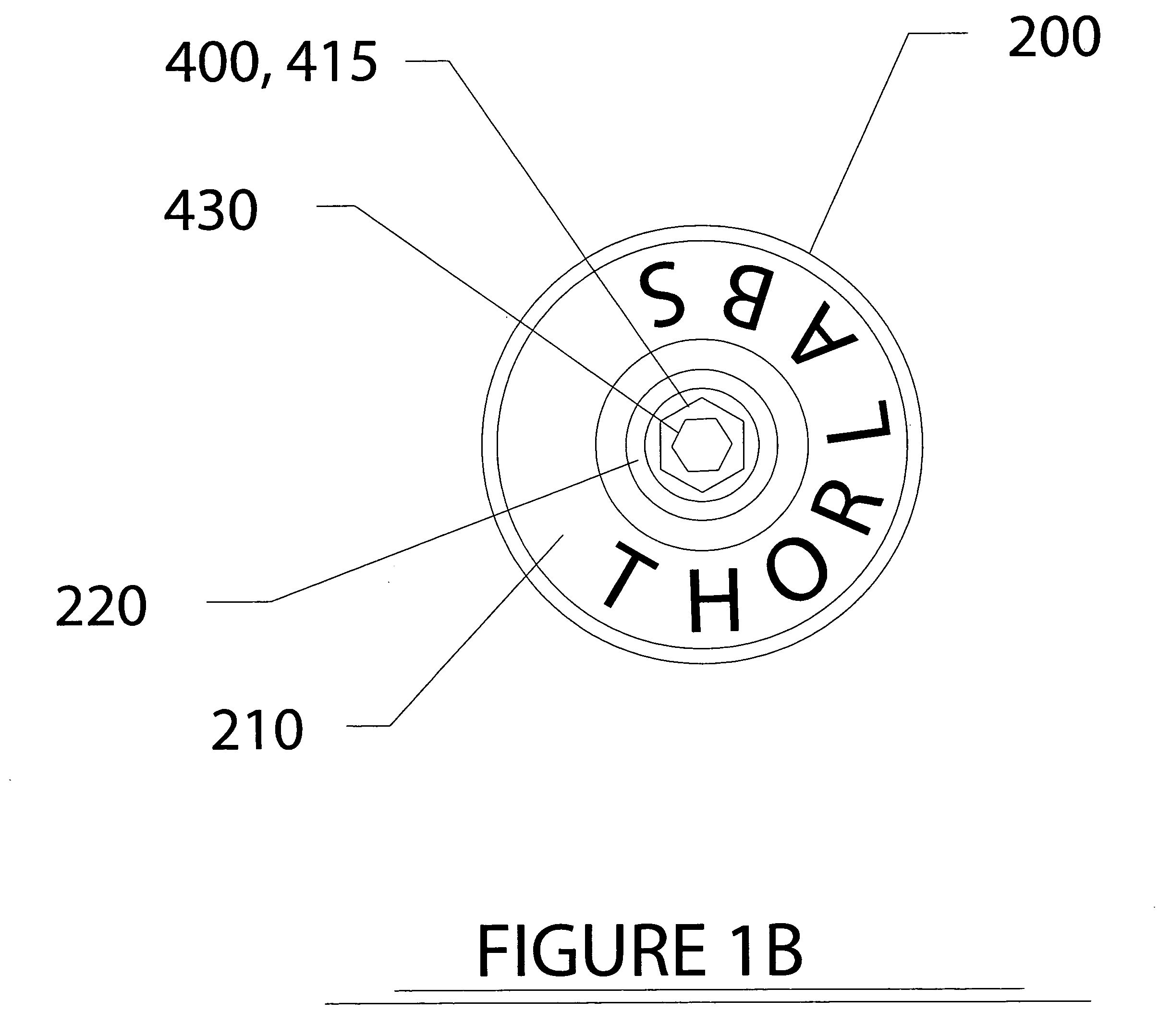 Differential adjustment apparatus