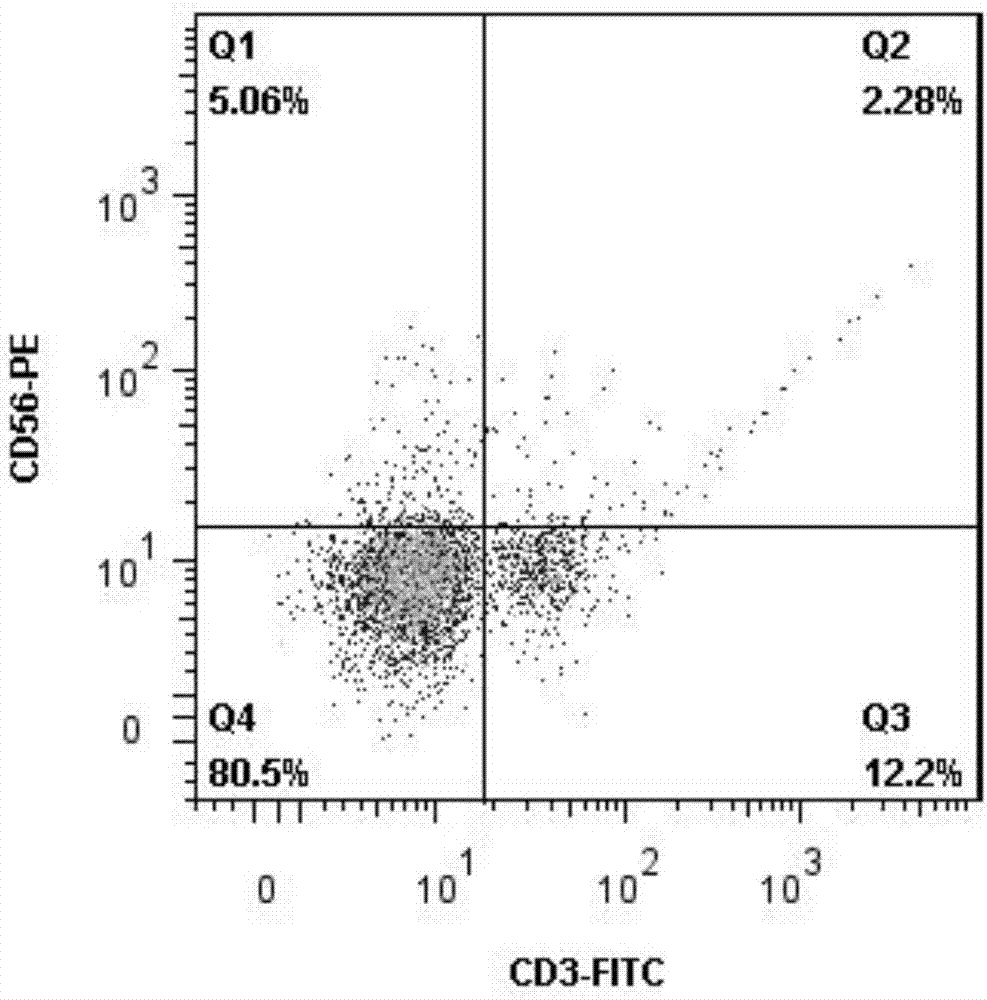 Amplification method for NK cell without trophocyte