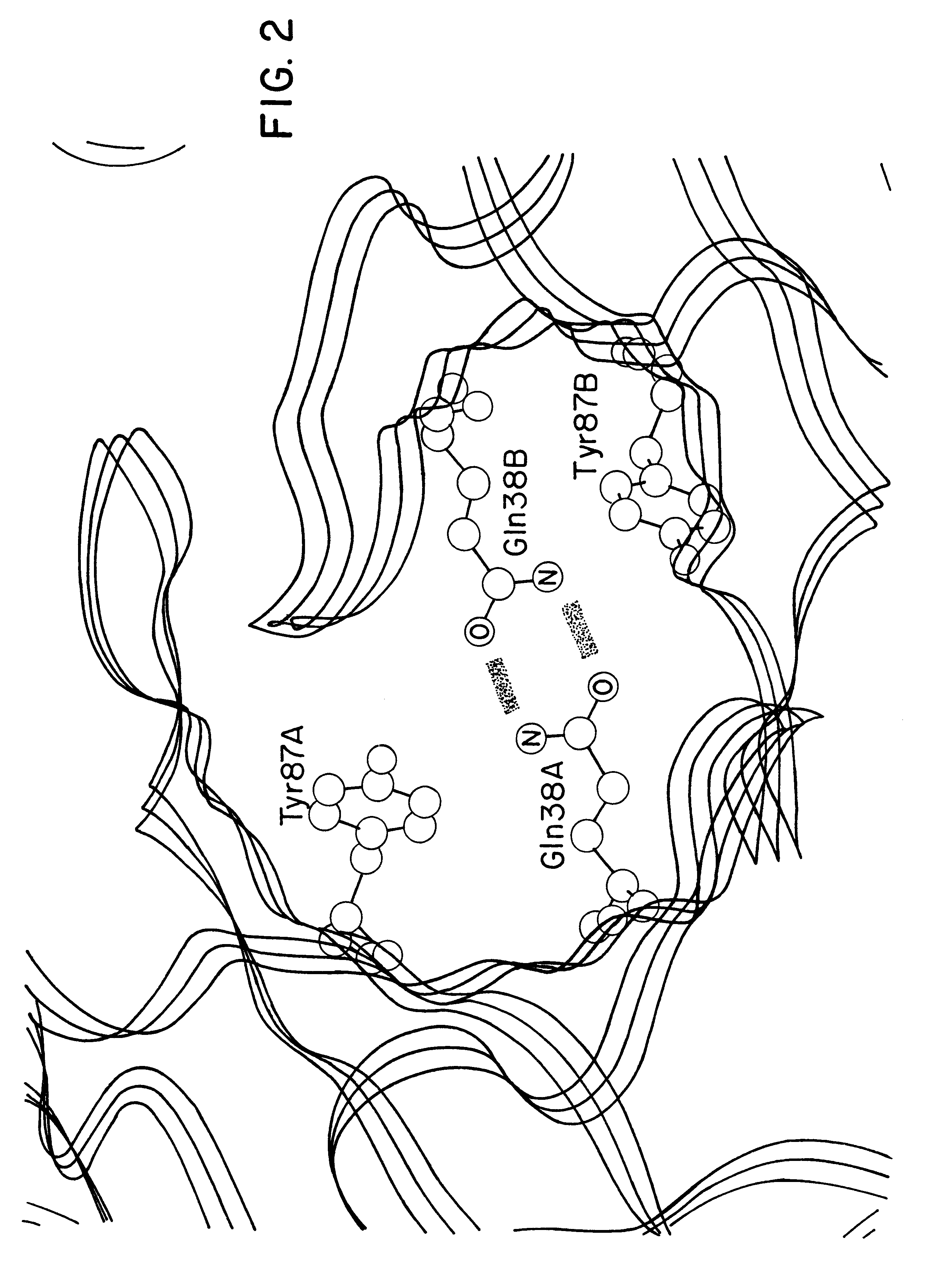 Method for altering antibody light chain interactions