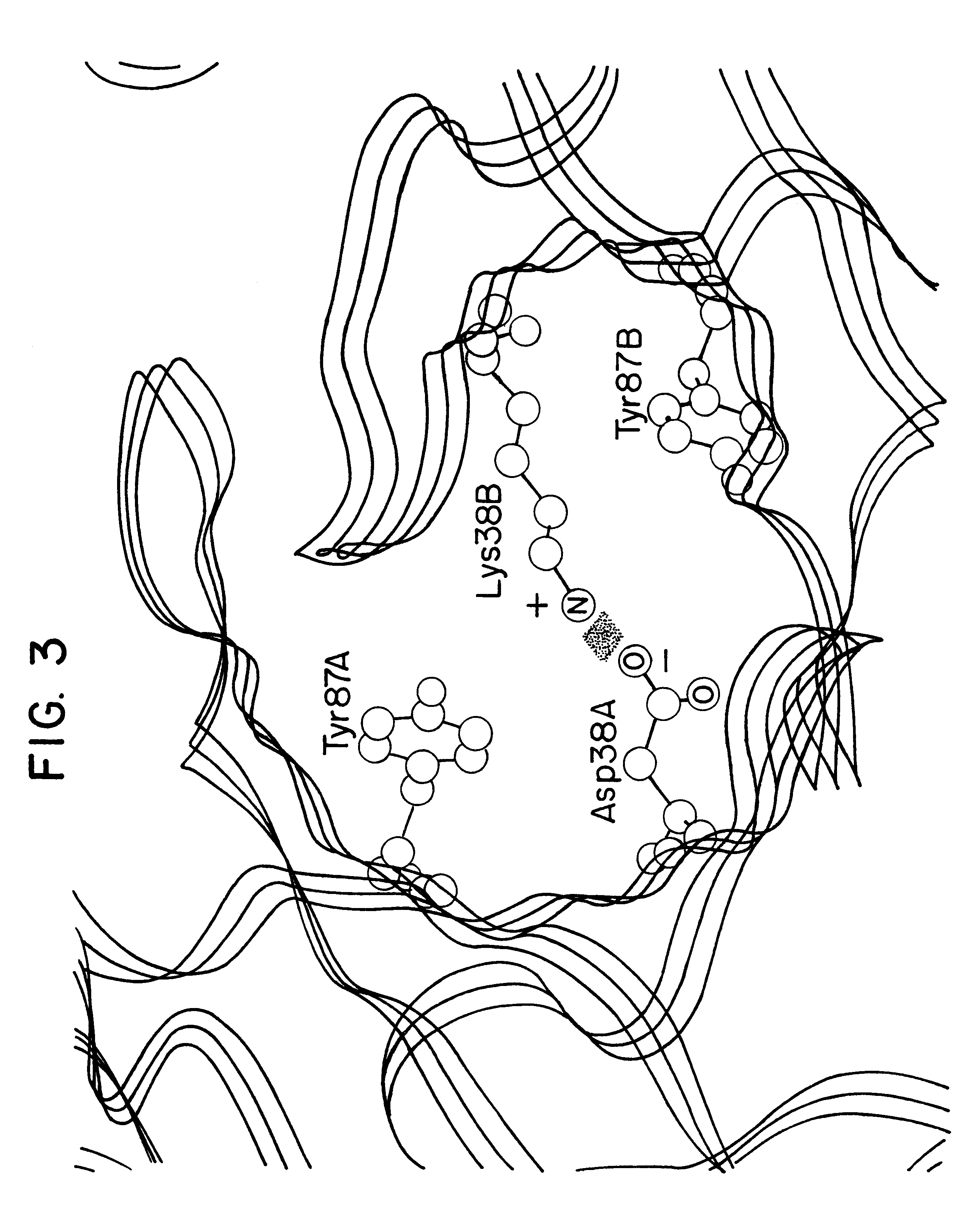 Method for altering antibody light chain interactions