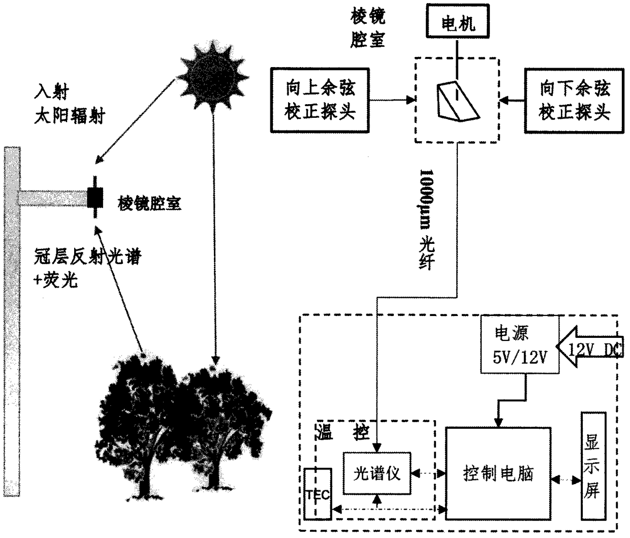 Double channel automatic observation method of plant chlorophyll fluorescence