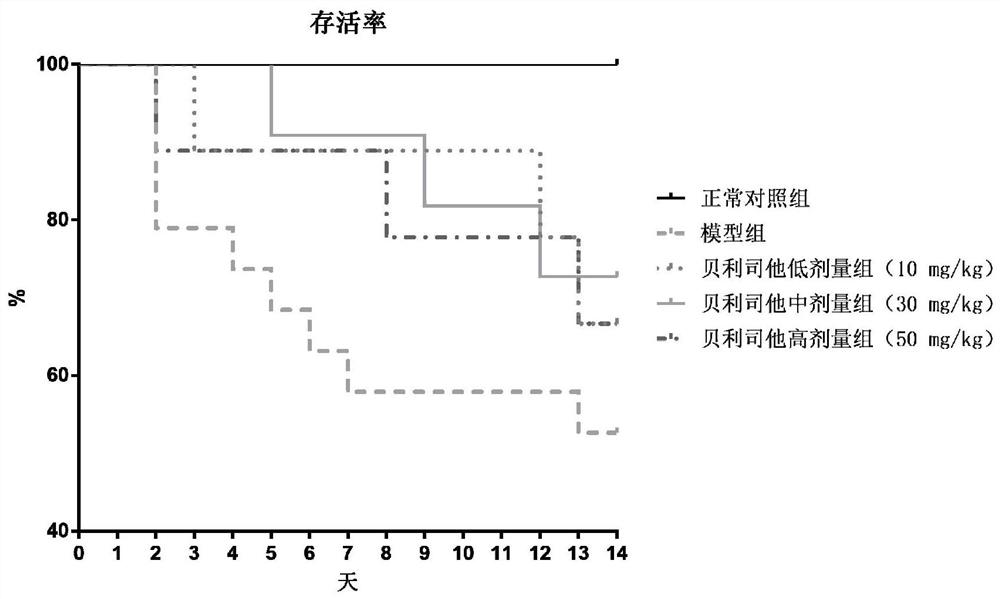 Application of belinostat in preparation of medicine for relieving and/or treating cerebral arterial thrombosis