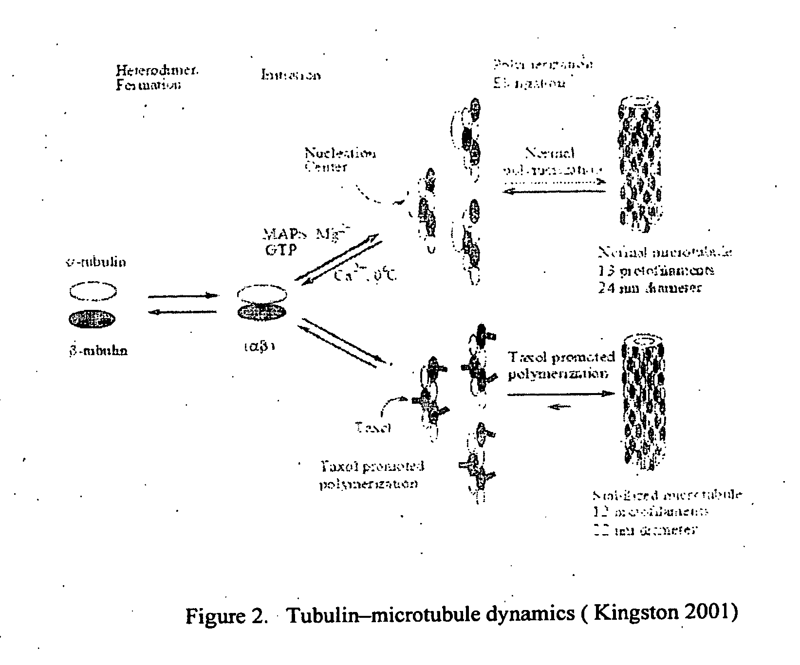 Solid Nanoparticle Formulation of Water Insoluble Pharmaceutical Substances With Reduced Ostwald Ripening