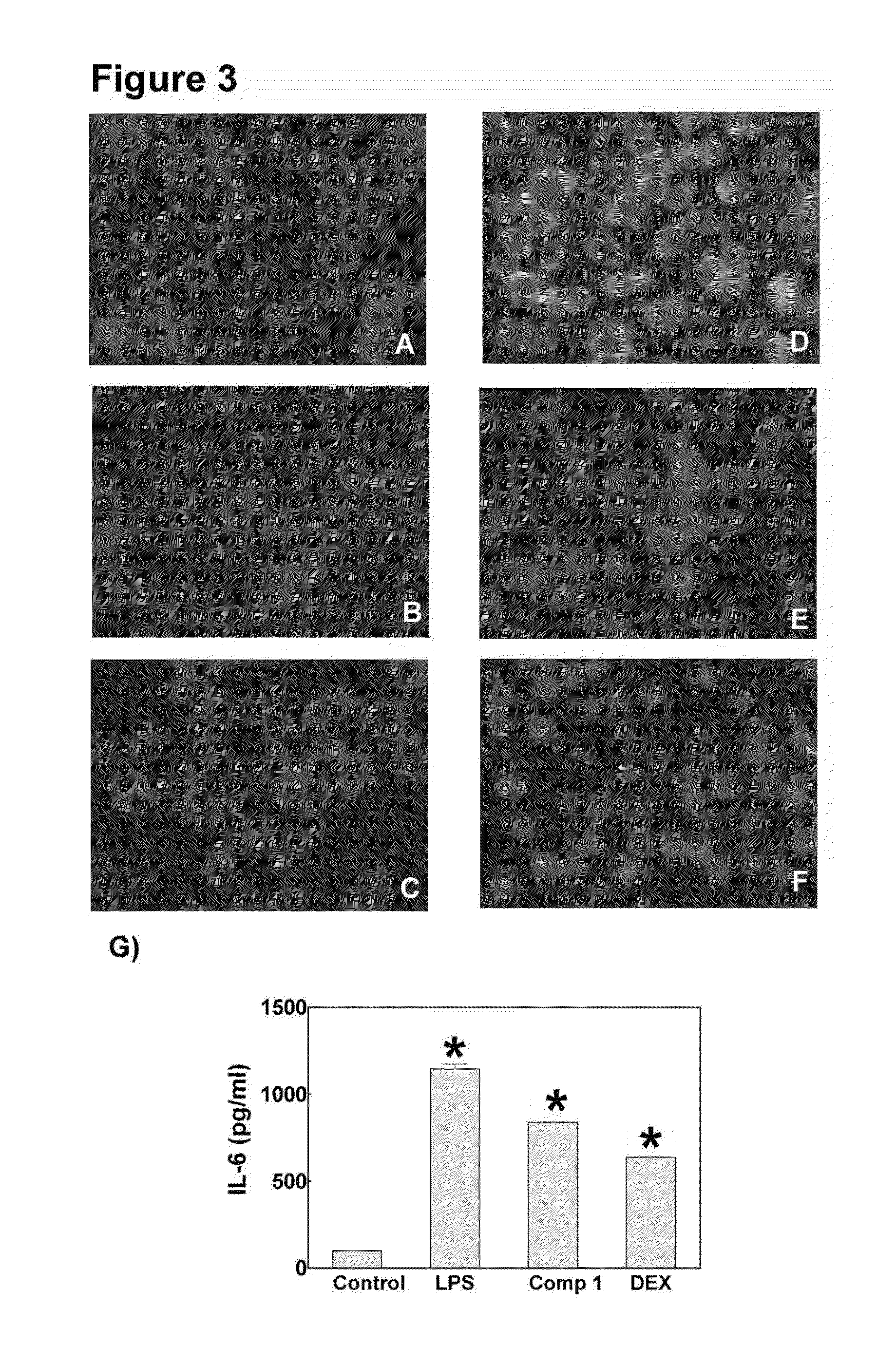 Antiangiogenic brassinosteroid compounds