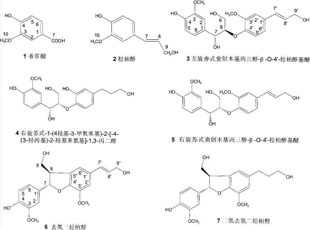 Active part of Sambucus williamsii Hance for reducing risk of bone-related diseases of menopausal women and application thereof